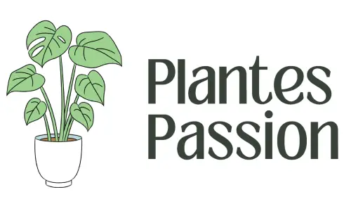 Plantes Passion
