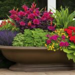 plantes vivaces pour jardinières